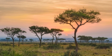 Africa Is Breaking Apart Faster Than Scientists Thought. Now What?