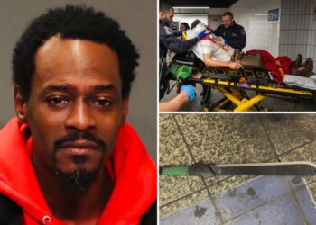 Friend claims maniac Grand Central slasher only kept machete for protection: report