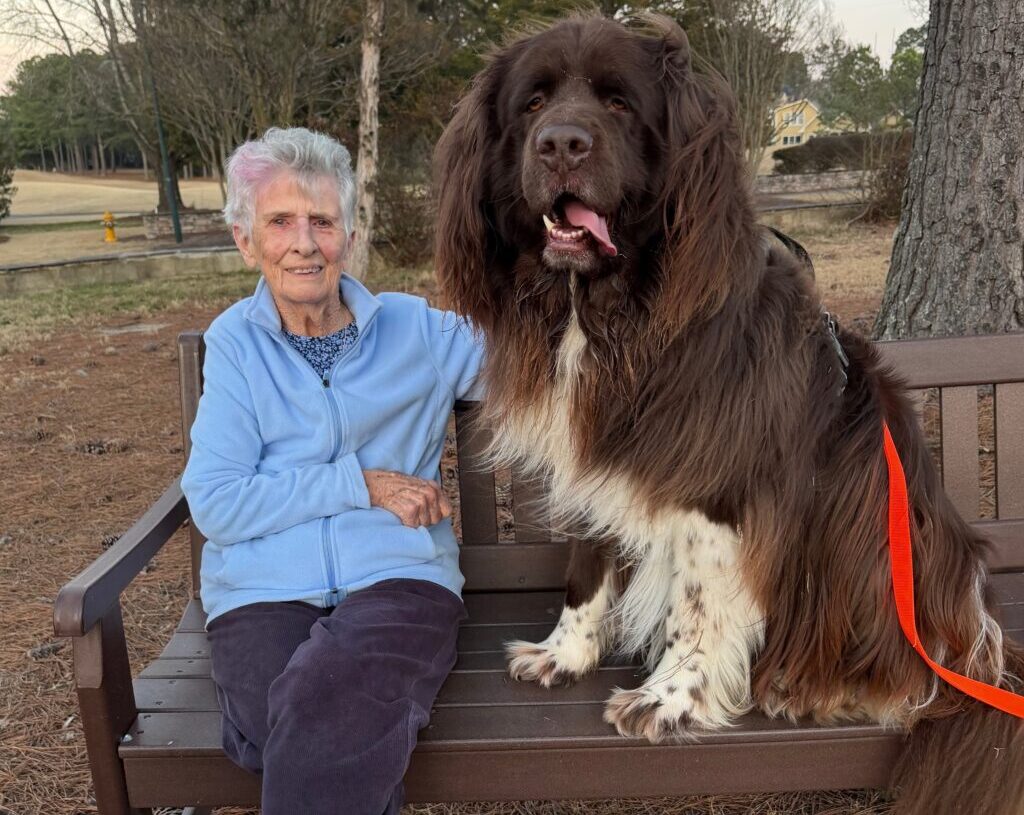 Woman, 96, enlists 150-pound dog to plant spring flowers: She points, he digs