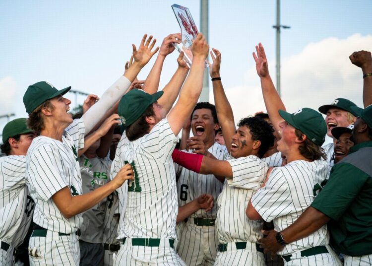 Student-athletes more likely to attend school than peers, new research finds