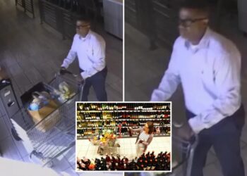 Police search for man who stole nearly $3K in high-end wine from upscale supermarket