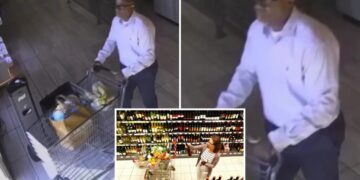 Police search for man who stole nearly $3K in high-end wine from upscale supermarket
