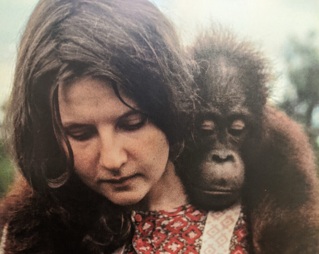 Biruté Galdikas, authority on orangutans, has died. She was one of ‘Leakey’s Angels.’