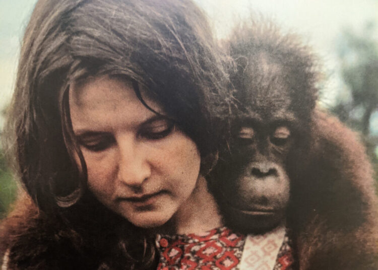 Biruté Galdikas, authority on orangutans, has died. She was one of ‘Leakey’s Angels.’