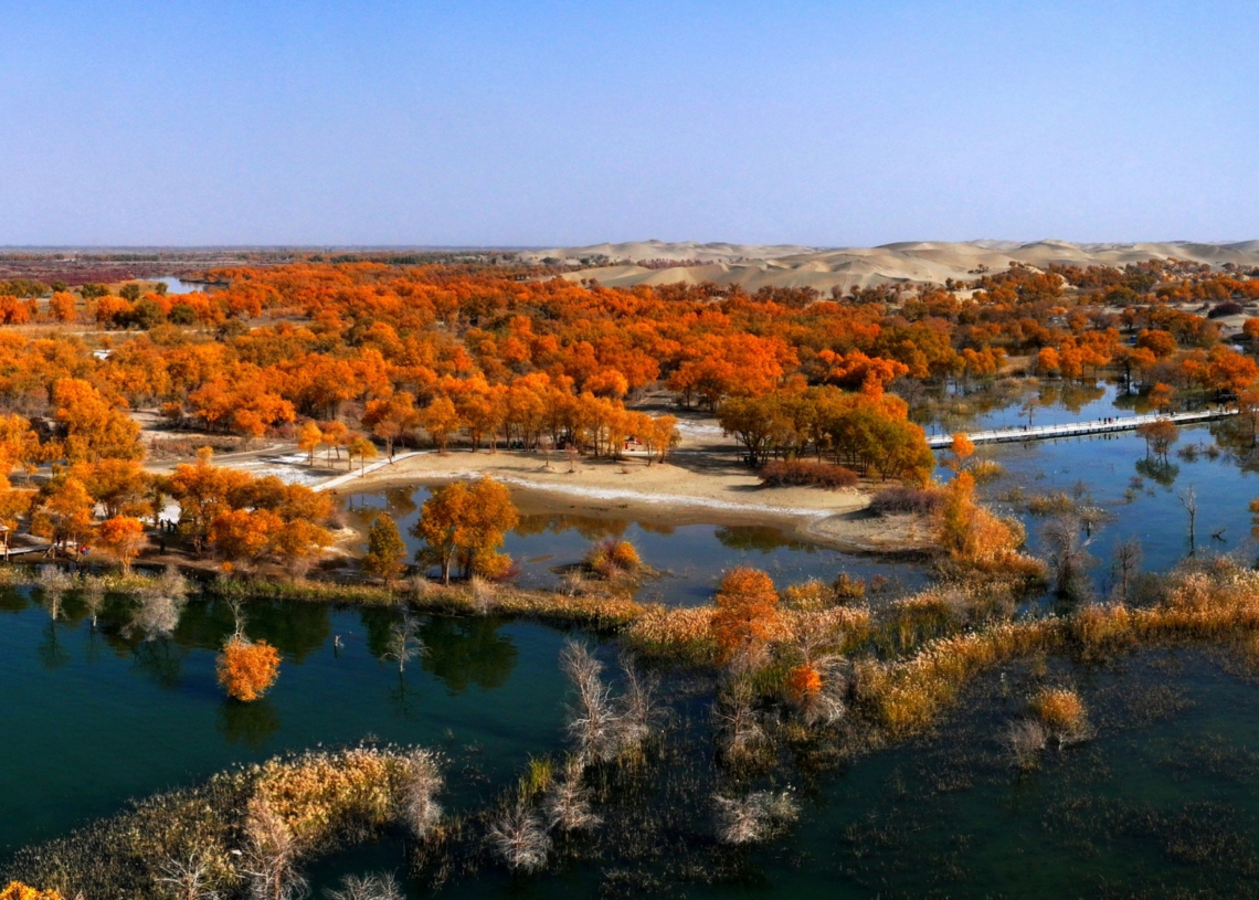 China Covered the ‘Sea of Death’ in Trees. Here’s What Happened.