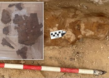 Archaeologists find piece of famous book in 1,600-year-old Egyptian mummy’s guts