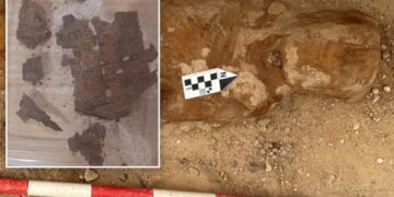 Archaeologists find piece of famous book in 1,600-year-old Egyptian mummy’s guts