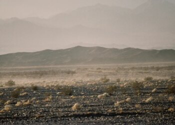 43 Years Ago Today, LA Punks Were Bused Into the Middle of the Desert for a Festival Blueprint of Burning Man and Coachella