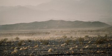 43 Years Ago Today, LA Punks Were Bused Into the Middle of the Desert for a Festival Blueprint of Burning Man and Coachella