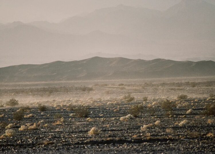 43 Years Ago Today, LA Punks Were Bused Into the Middle of the Desert for a Festival Blueprint of Burning Man and Coachella