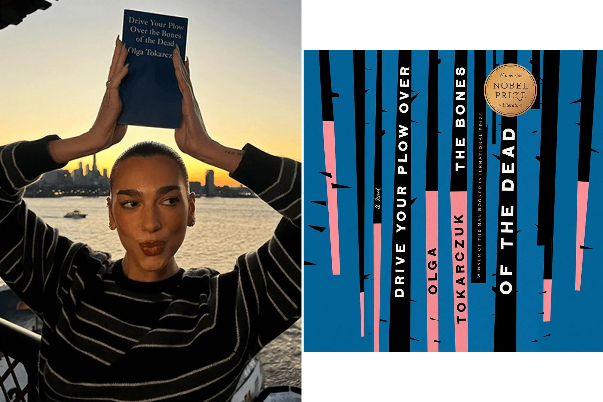 Drive Your Plow Over the Bones of the Dead