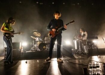 The Fanfare Around Geese Actually Was a Psyop