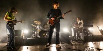 The Fanfare Around Geese Actually Was a Psyop