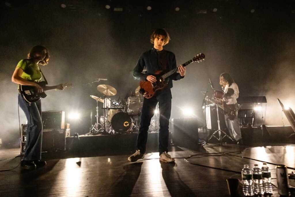 The Fanfare Around Geese Actually Was a Psyop