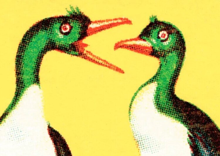 What to say to relatives who love to needle you about politics