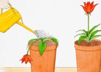 How to get over your fear of being a burden and actually ask for help