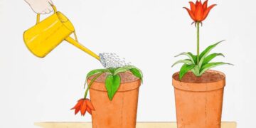 How to get over your fear of being a burden and actually ask for help