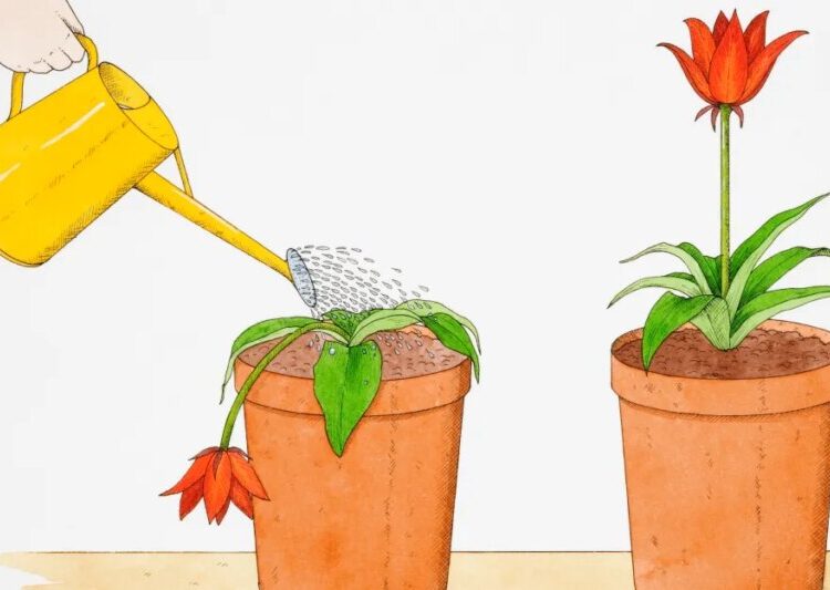 How to get over your fear of being a burden and actually ask for help