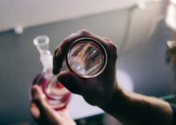 How to Clean Your Bong Like a Pro