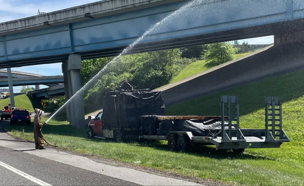 Beekeepers shoot spray at the swarm of loose bees after the crash.