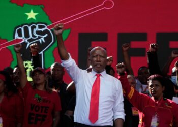 South African politician who drew Trump’s ire sentenced on gun charges