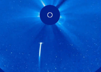 Here’s What Has to Go Right for You to See the Rare Sungrazer Comet This Weekend