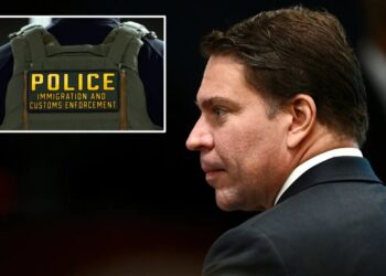 Former Brazilian spy chief who fled country following coup plot conviction arrested by ICE agents in US