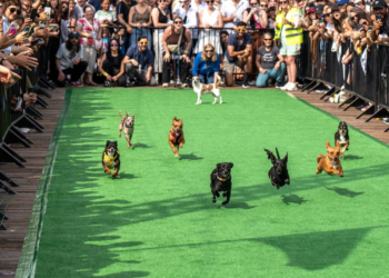 The 35 best things to do in D.C. this weekend and next week