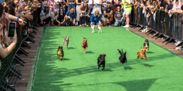 The 35 best things to do in D.C. this weekend and next week