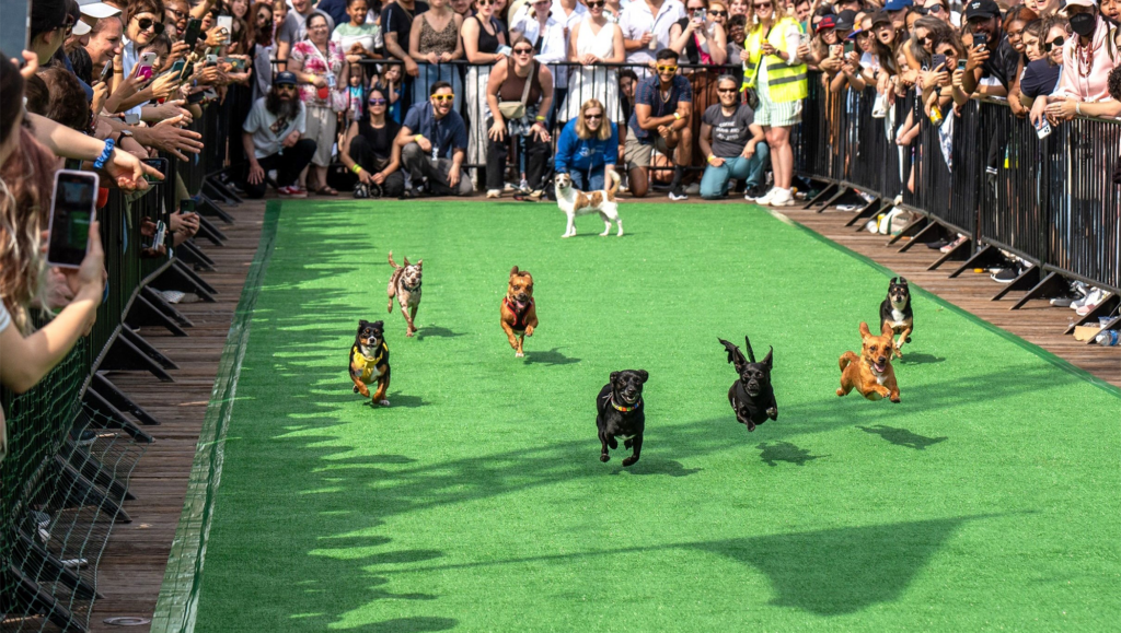 The 35 best things to do in D.C. this weekend and next week