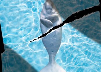 Marine Animals in the Strait of Hormuz Don’t Get a Ceasefire