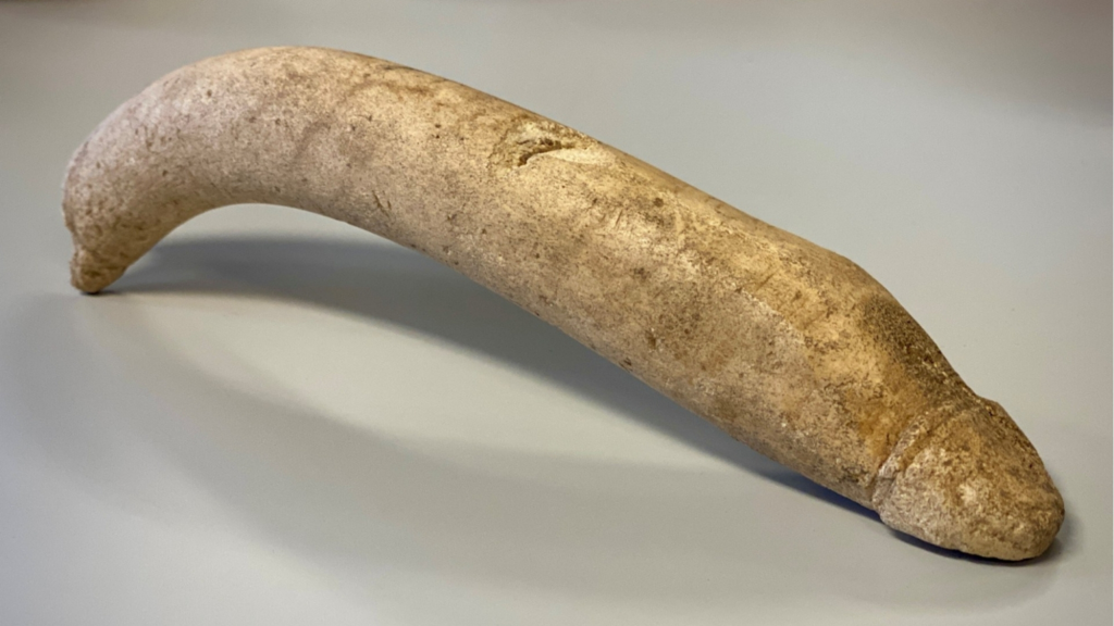 Museum Opens Old Box, Finds Ancient Roman Bone Penis Inside