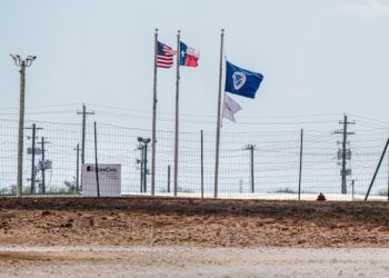 Ex-wife of firebombing suspect denied care for chest pain in ICE custody, lawyer says