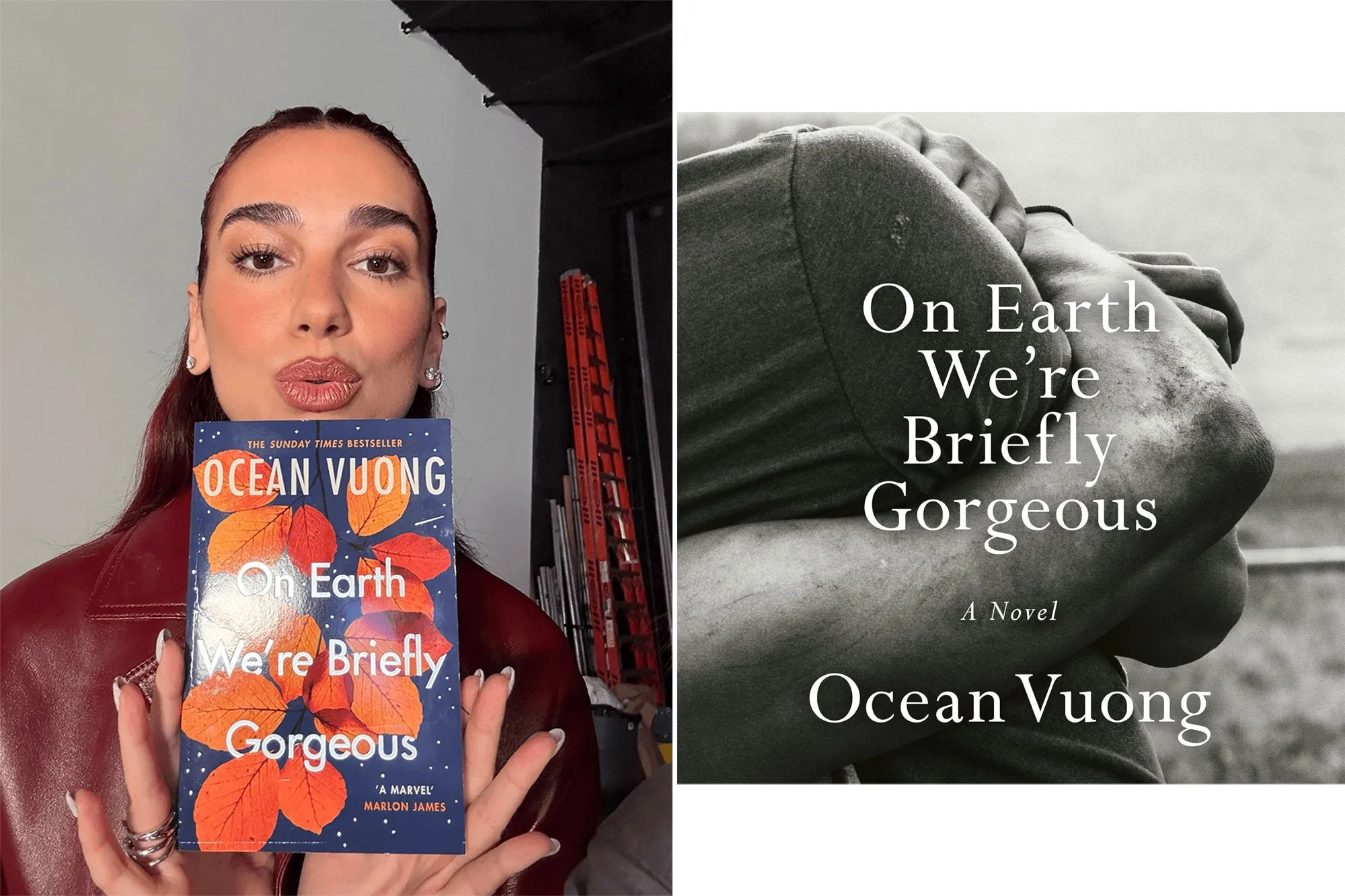 On Earth We're Briefly Gorgeous