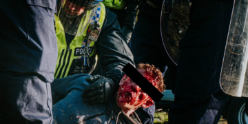 Ravers Tell Us What Actually Happened When Eggtek Was Violently Shut Down by Police