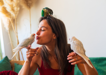 Parrots Can Learn Your Name (and Then Use It Against You)