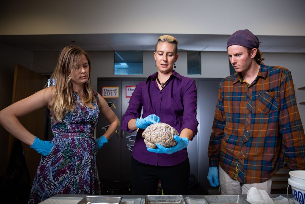 Surprising links between autism, Alzheimer’s could change how we treat both