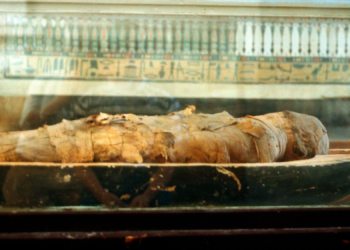 Researchers Looked Inside Egyptian Mummies Without Unwrapping Them. Here’s What They Found.