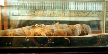 Researchers Looked Inside Egyptian Mummies Without Unwrapping Them. Here’s What They Found.