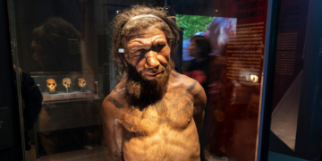 Scientists Figured Out How Smart Neanderthals Were (We Were All Wrong)