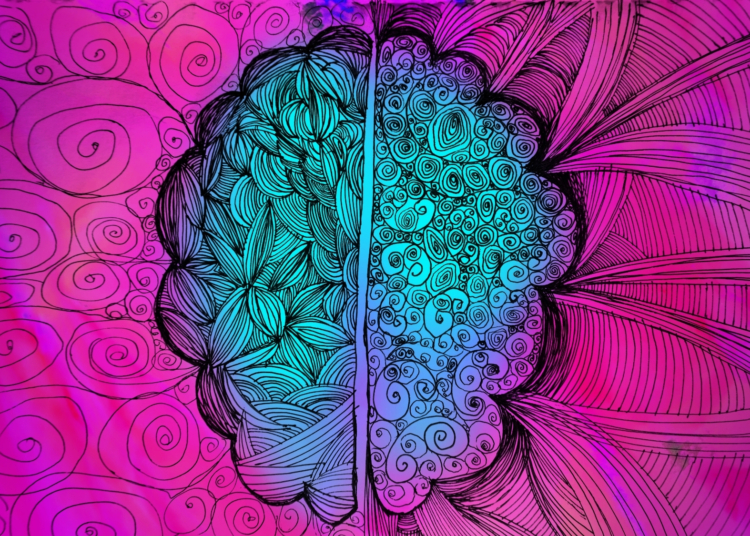 Scientists Figured Out How to Stop Your Brain From Feeling Fear