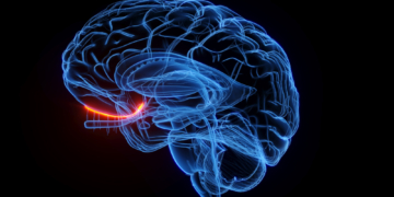 Scientists Made the First-Ever ‘Smell Map,’ and It’s Oddly Beautiful