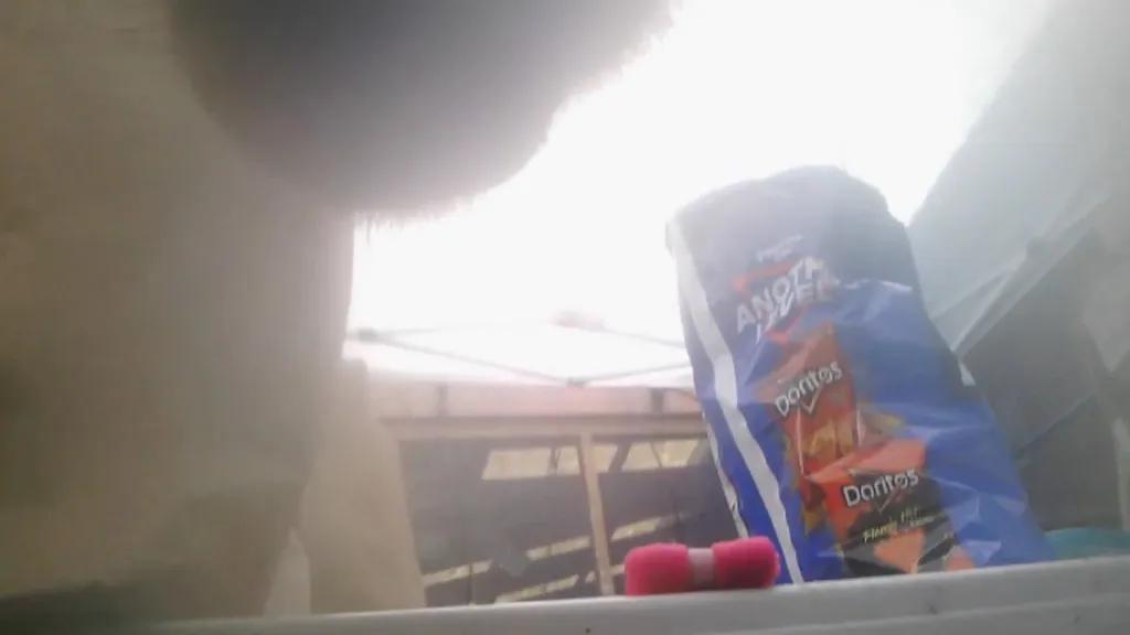 A bag of Doritos chips sits next to a pink makeup sponge.