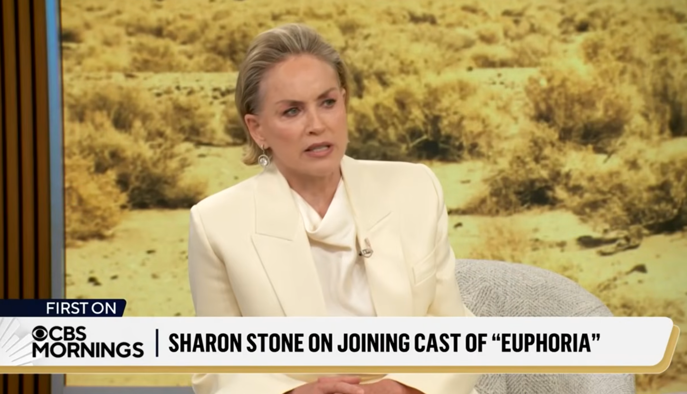 Sharon Stone discusses the change in on-screen intimacy in television during an interview with Gayle King on March 31, 2026.