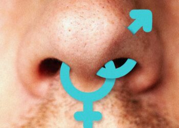 Sniffies’ Users Worry About a ‘Straightification’ of the Gay Hookup App