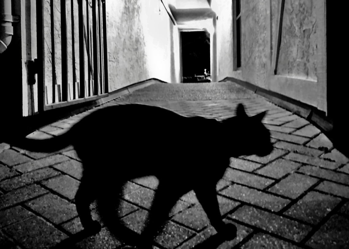 The 3 Unluckiest Zodiac Signs in Love, According to an Astrologer