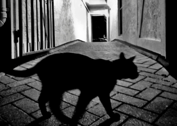 The 3 Unluckiest Zodiac Signs in Love, According to an Astrologer