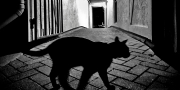 The 3 Unluckiest Zodiac Signs in Love, According to an Astrologer