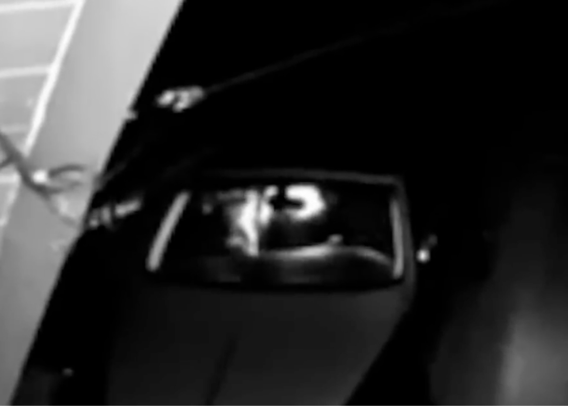 The Dummies Who Dressed as a Bear to Damage Their Own Cars Are Going to Jail