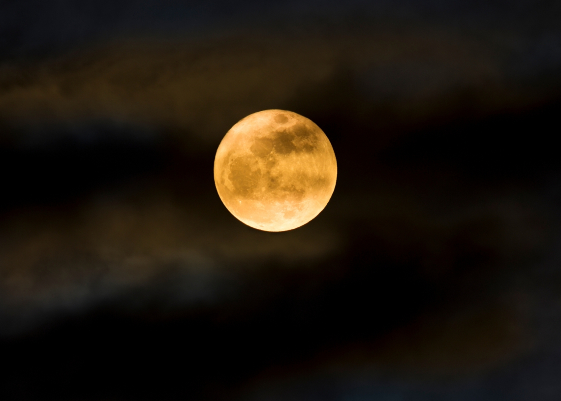 The Full Flower Moon in Scorpio Is Coming: Everything You Need to Know